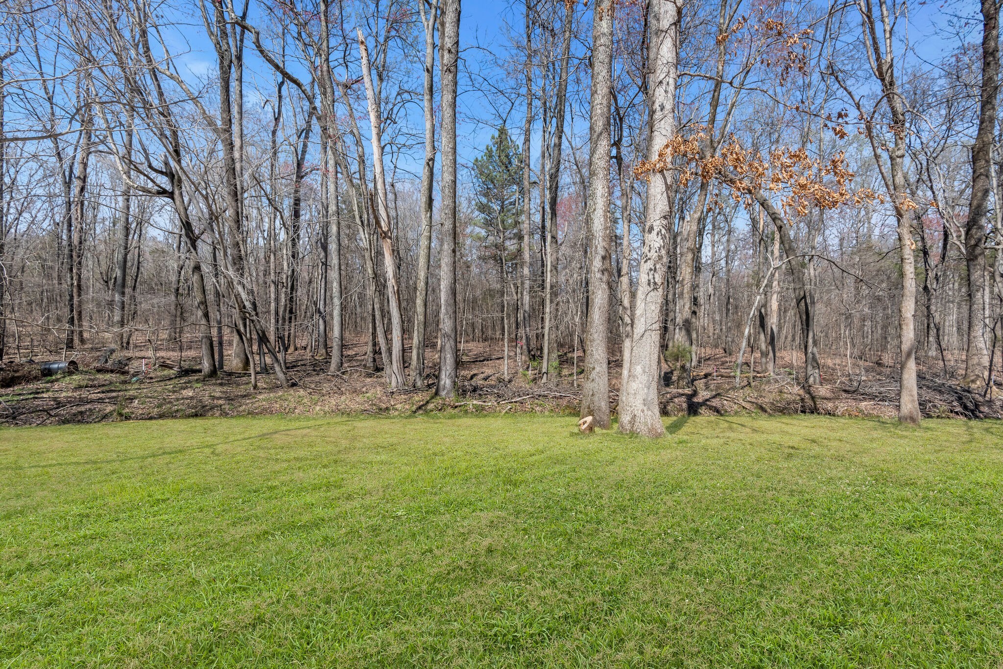 123 Nottingham Road Dickson, TN 37055 - Photo 30 of 31 Gallery Image 30