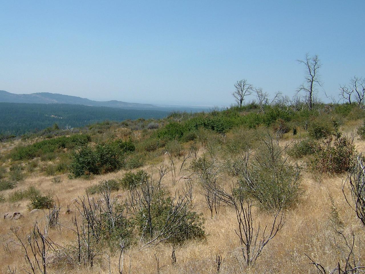 Miller Mountain Road Whitmore, CA 96096 - Photo 2 of 8 a view of a lake with a city
