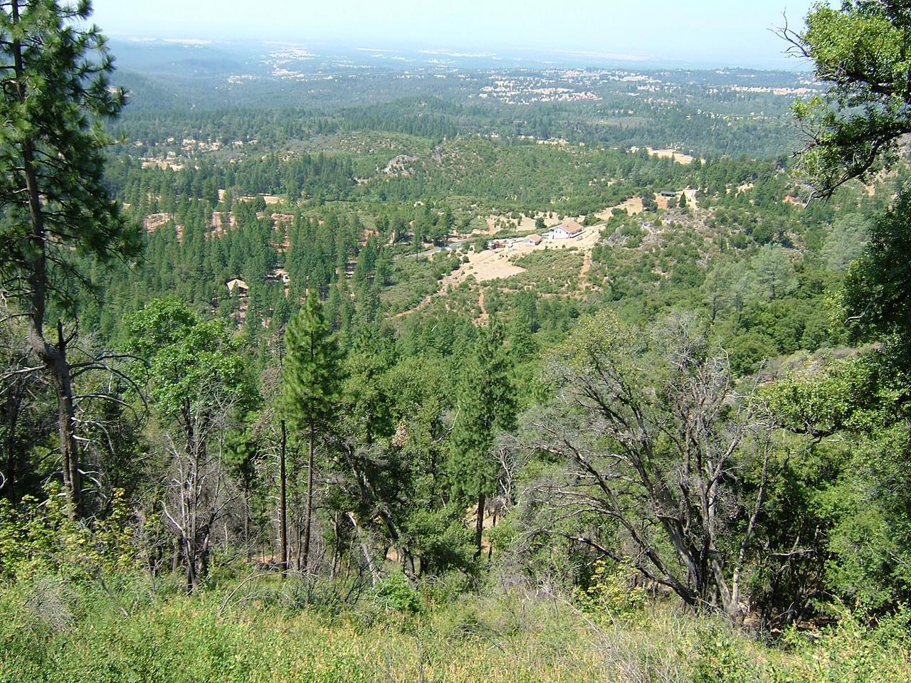 Miller Mountain Road Whitmore, CA 96096 - Photo 3 of 8 a view of a city with lush green forest