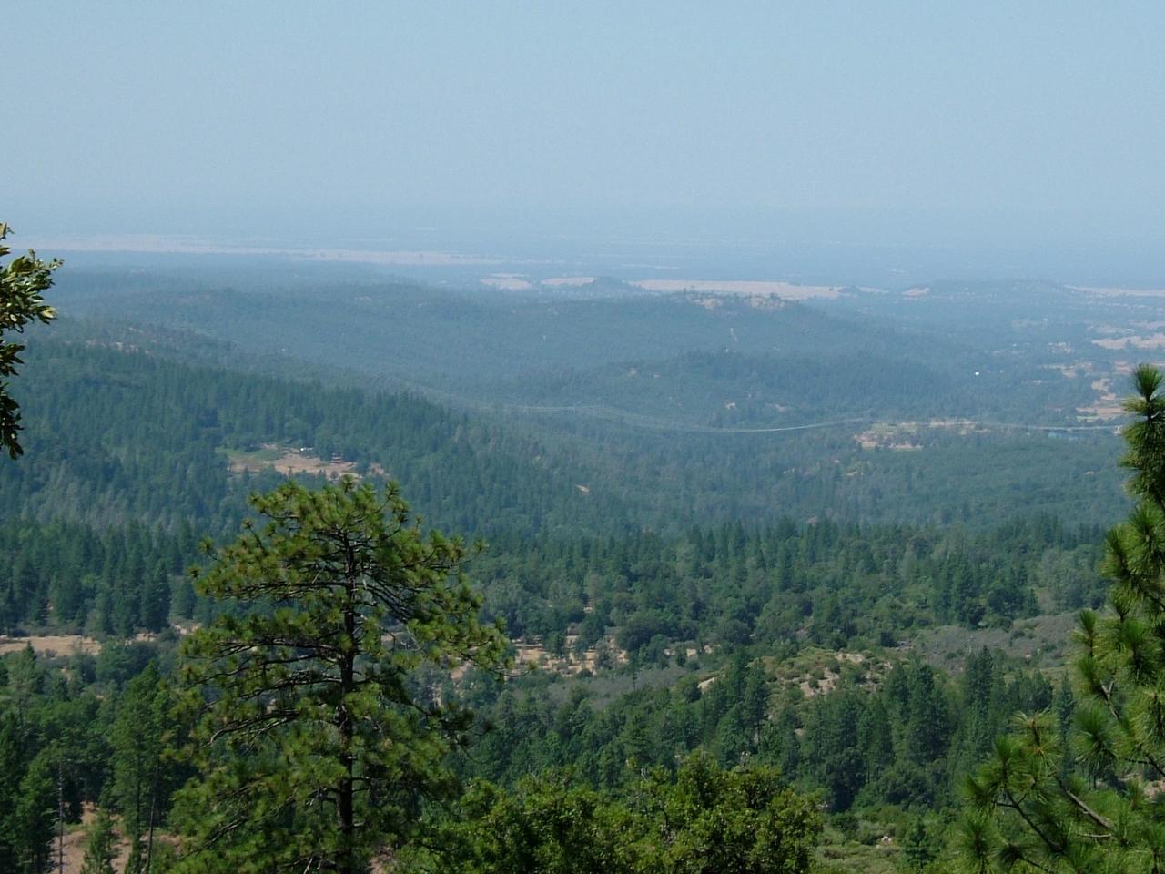 Miller Mountain Road Whitmore, CA 96096 - Photo 6 of 8 a view of a field of grass and trees