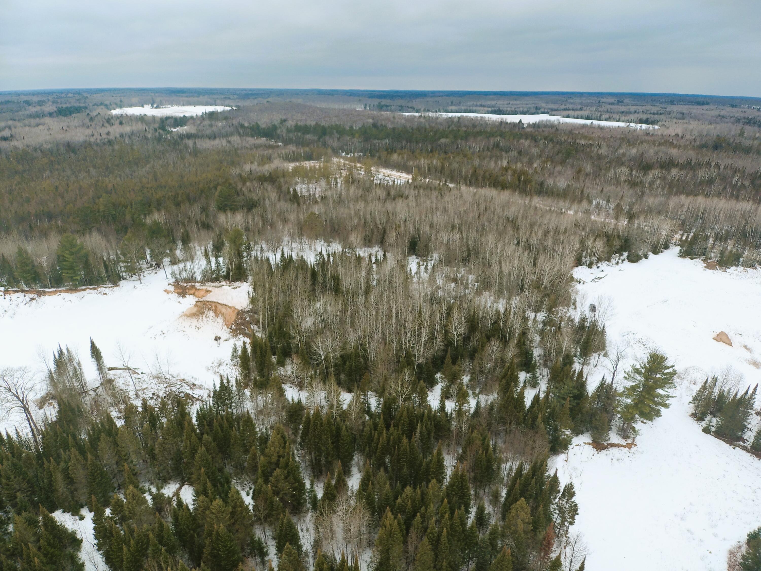 Hubert Road Hillman, MI 49746 - Photo 22 of 31 Gallery Image 22