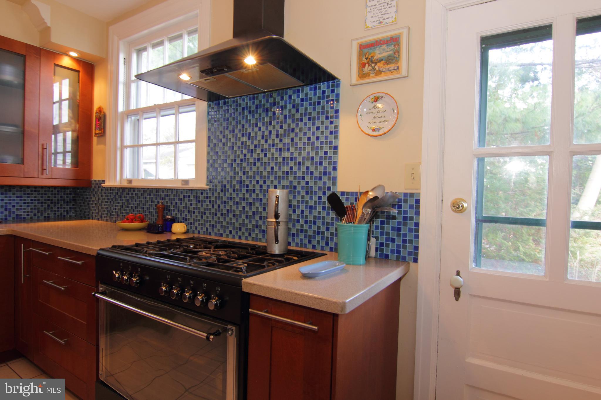 2907 Rising Sun Road Ardmore, PA 19003 - Photo 18 of 48