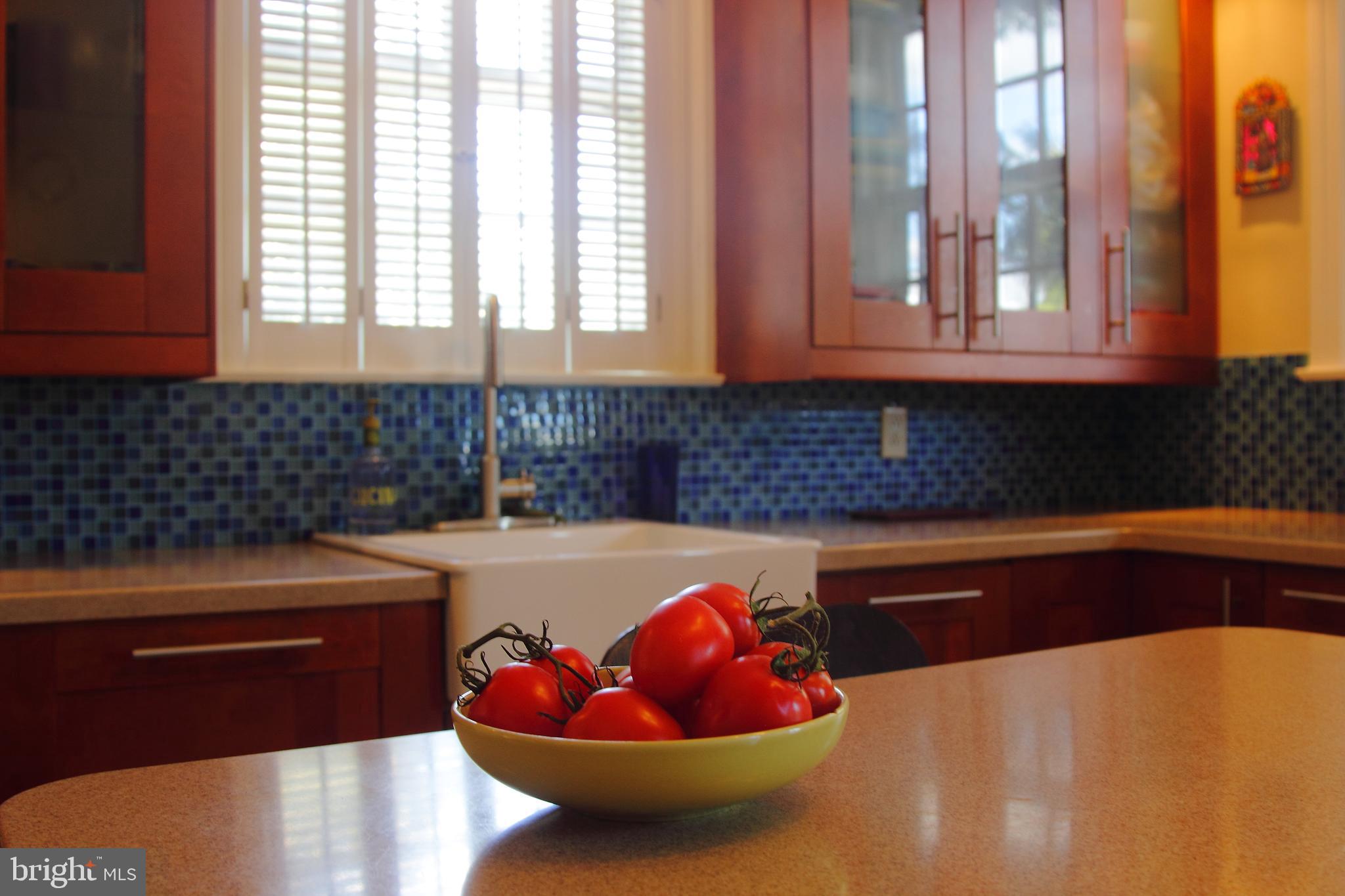 2907 Rising Sun Road Ardmore, PA 19003 - Photo 19 of 48