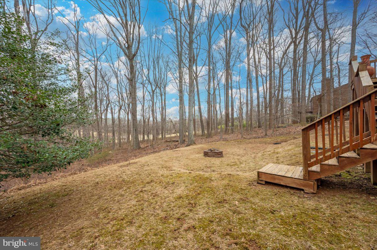 10101 Lloyd Road Potomac, MD 20854 - Photo 52 of 65 Backyard