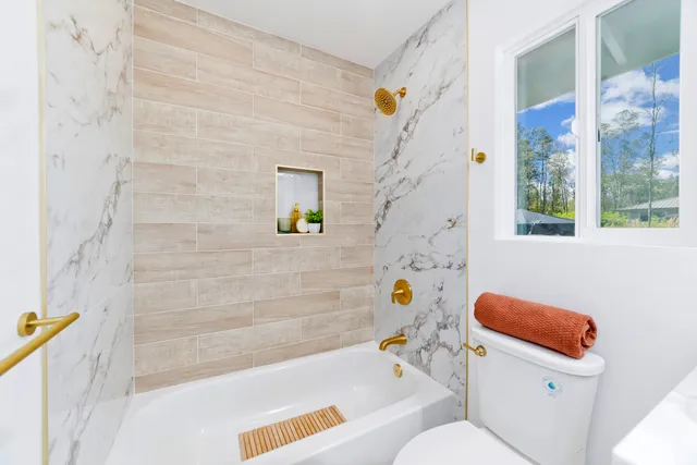 a bathroom with a toilet and a bathtub