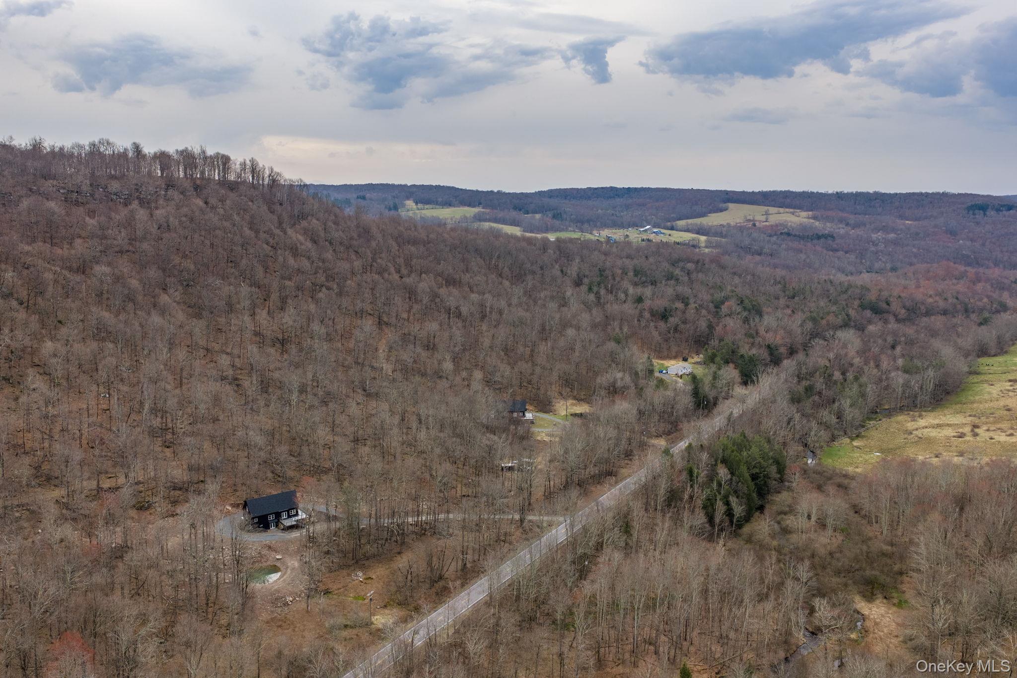 1211 Gulf Road Roscoe, NY 12776 - Photo 26 of 29