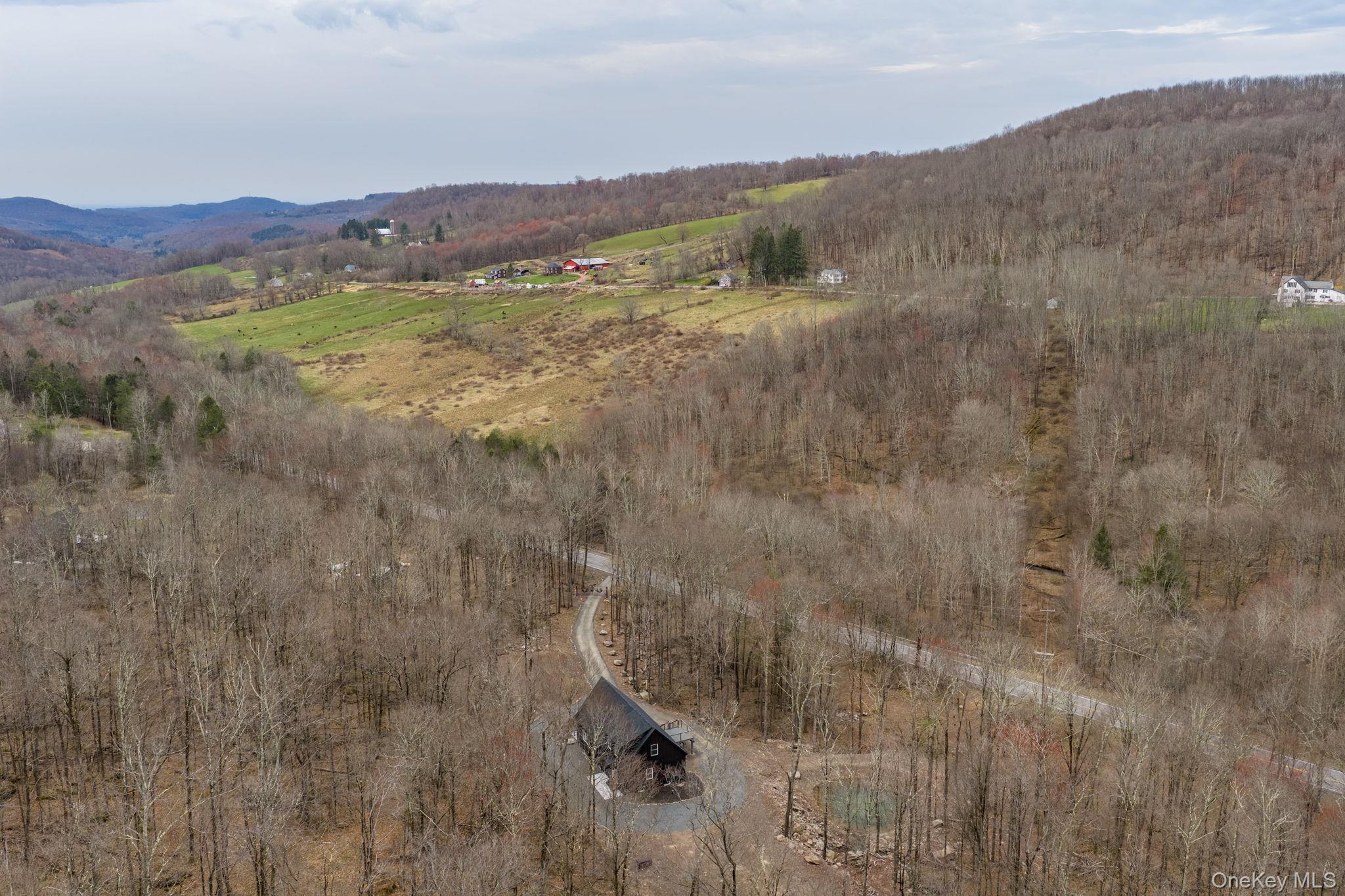 1211 Gulf Road Roscoe, NY 12776 - Photo 28 of 29