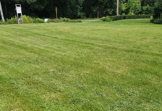 a view of a golf course