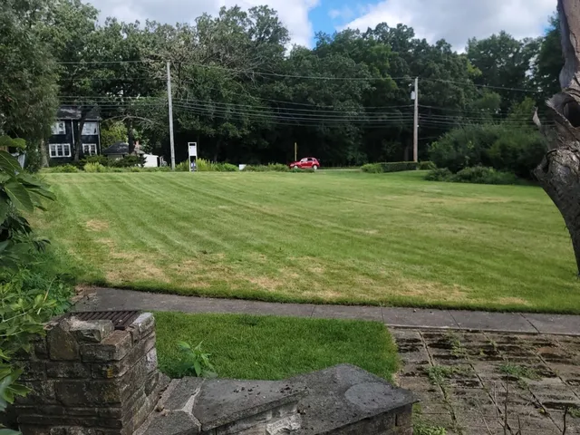 a view of a park with large trees