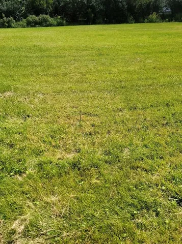 a view of an ocean from a yard