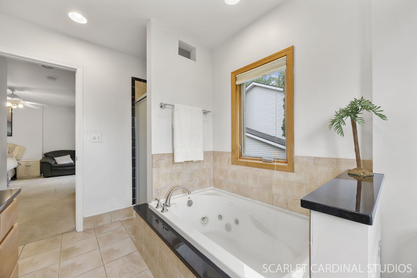1004 Prairie View Court Naperville, IL 60563 - Photo 14 of 33 a bathroom with a tub sink and mirror