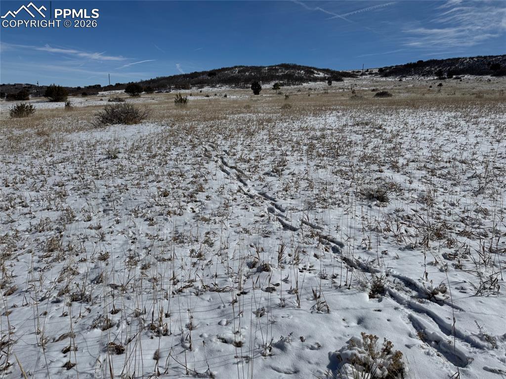 Antoinette Lane Rye, CO 81069 - Photo 3 of 3