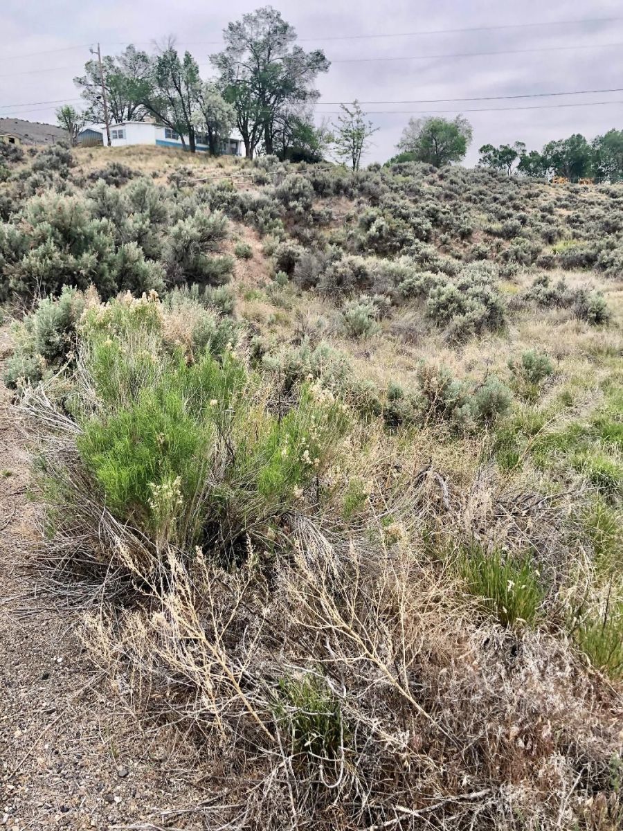 4191 Hamilton Stage Road Elko, NV 89801 - Photo 6 of 6 Gallery Image 6