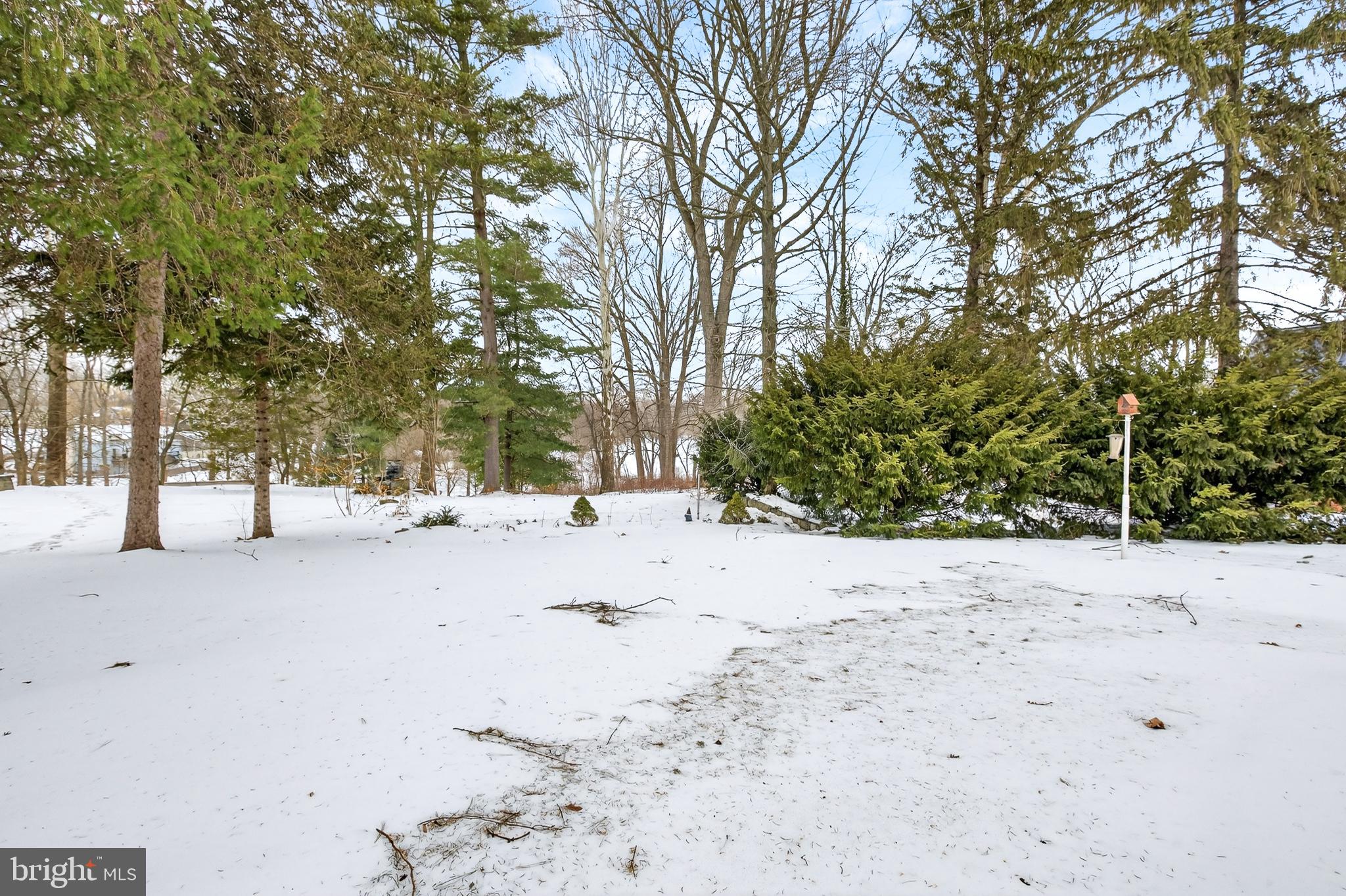 2009 Millstream Road Lancaster, PA 17602 - Photo 17 of 21 a view of road and trees