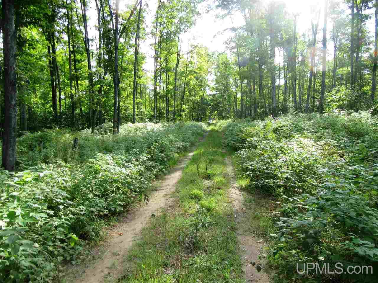 Tbd Perch Bay Road Manistique, MI 49854 - Photo 4 of 7 Gallery Image 4