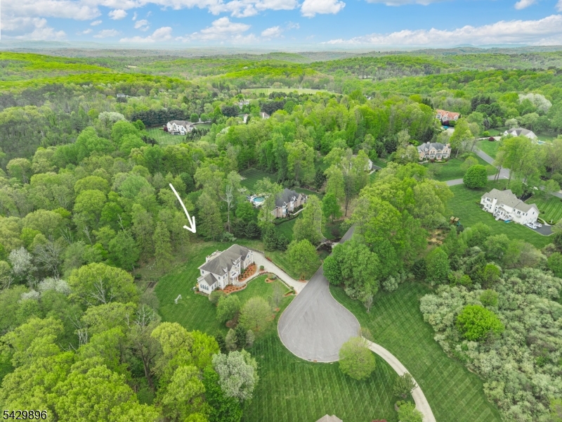 8 Peach Tree Lane Chester, NJ 07930 - Photo 8 of 11