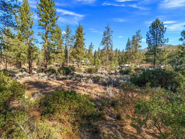 a view of a city with lots of trees