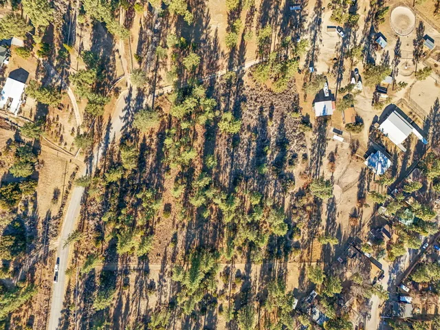 a close up of a plant