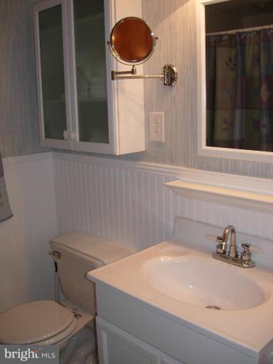9789 Pearson Road Denton, MD 21629 - Photo 15 of 29 a bathroom with a sink a toilet and a mirror