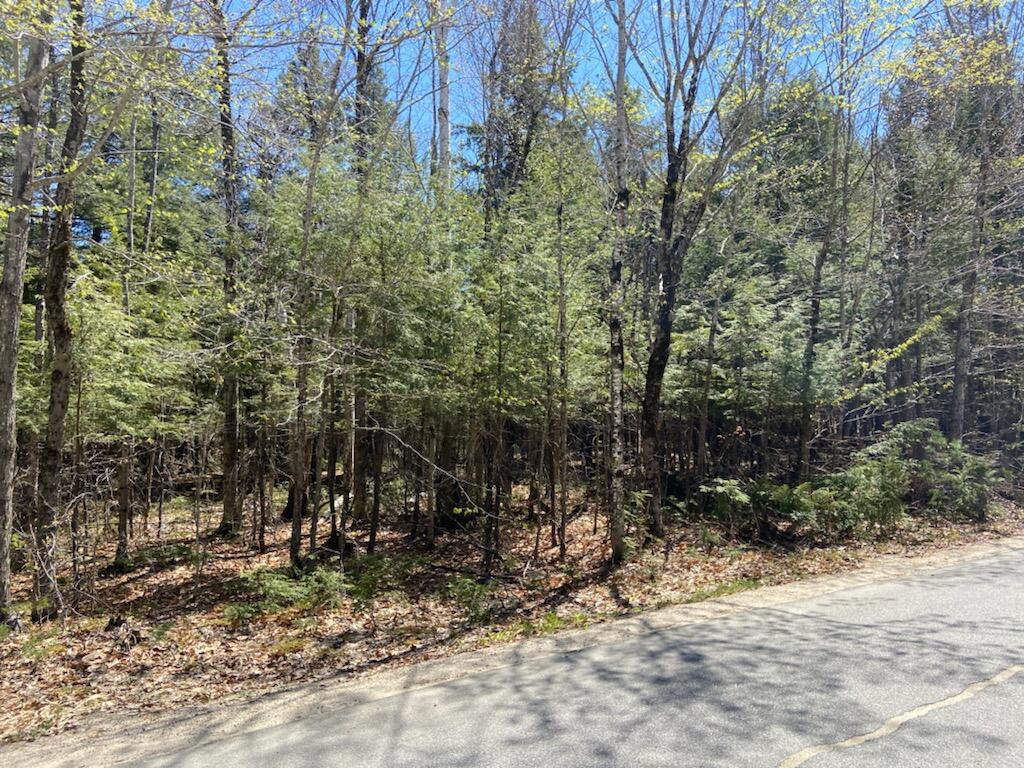 0 Highland Pines Road Bridgton, ME 04009 - Photo 1 of 10 Galvin