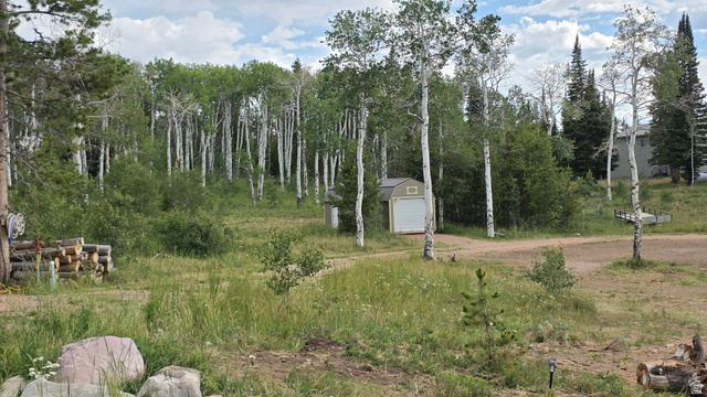 38 Spruce, Unit 38A Evanston, UT 82930 - Photo 14 of 15 Expansive natural landscape with varied mature trees, including a prominent aspen grove