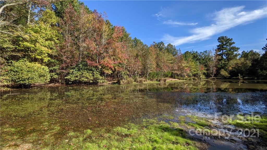 5967 Lockhart Road Sharon, SC 29742 - Photo 40 of 40 a view of lake
