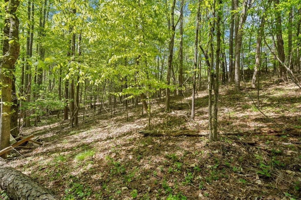 16160 Henderson Road Alpharetta, GA 30004 - Photo 23 of 25