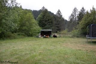 2614 Mt Reuben Road Glendale, OR 97442 - Photo 17 of 23 Additional Photo