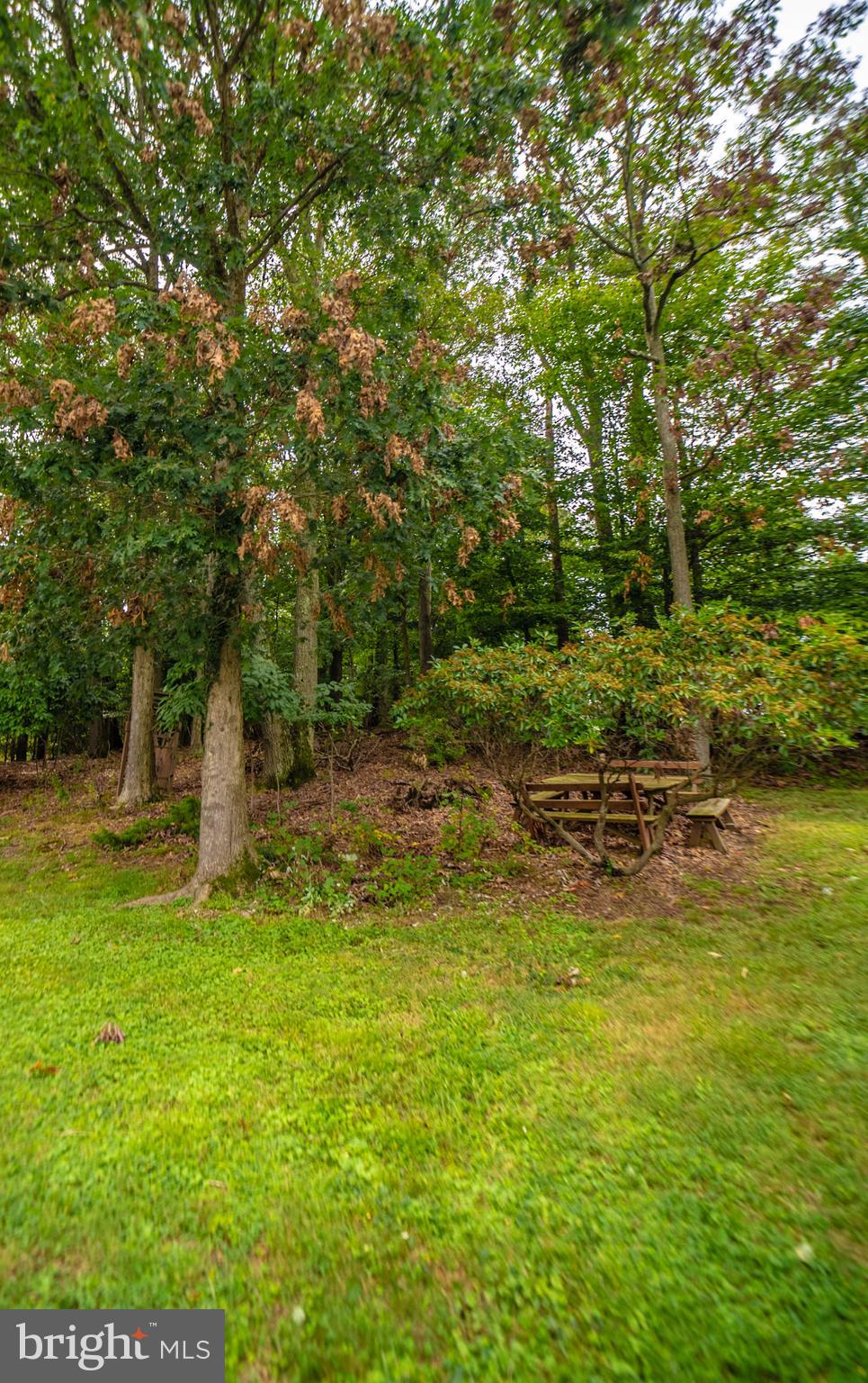 2827 Cub Hill Road Baltimore, MD 21234 - Photo 42 of 46 Gallery Image 42
