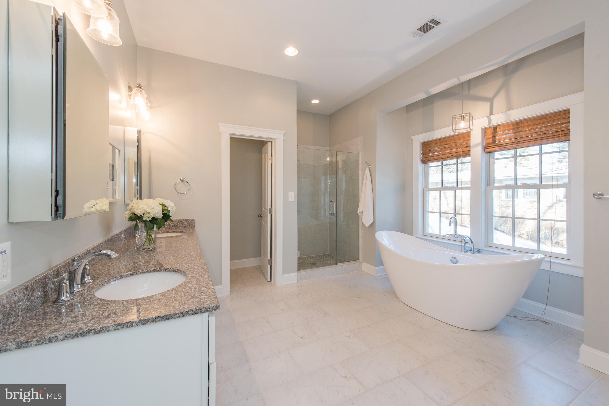 3605 Macalpine Road Ellicott City, MD 21042 - Photo 20 of 30 Master Bathroom