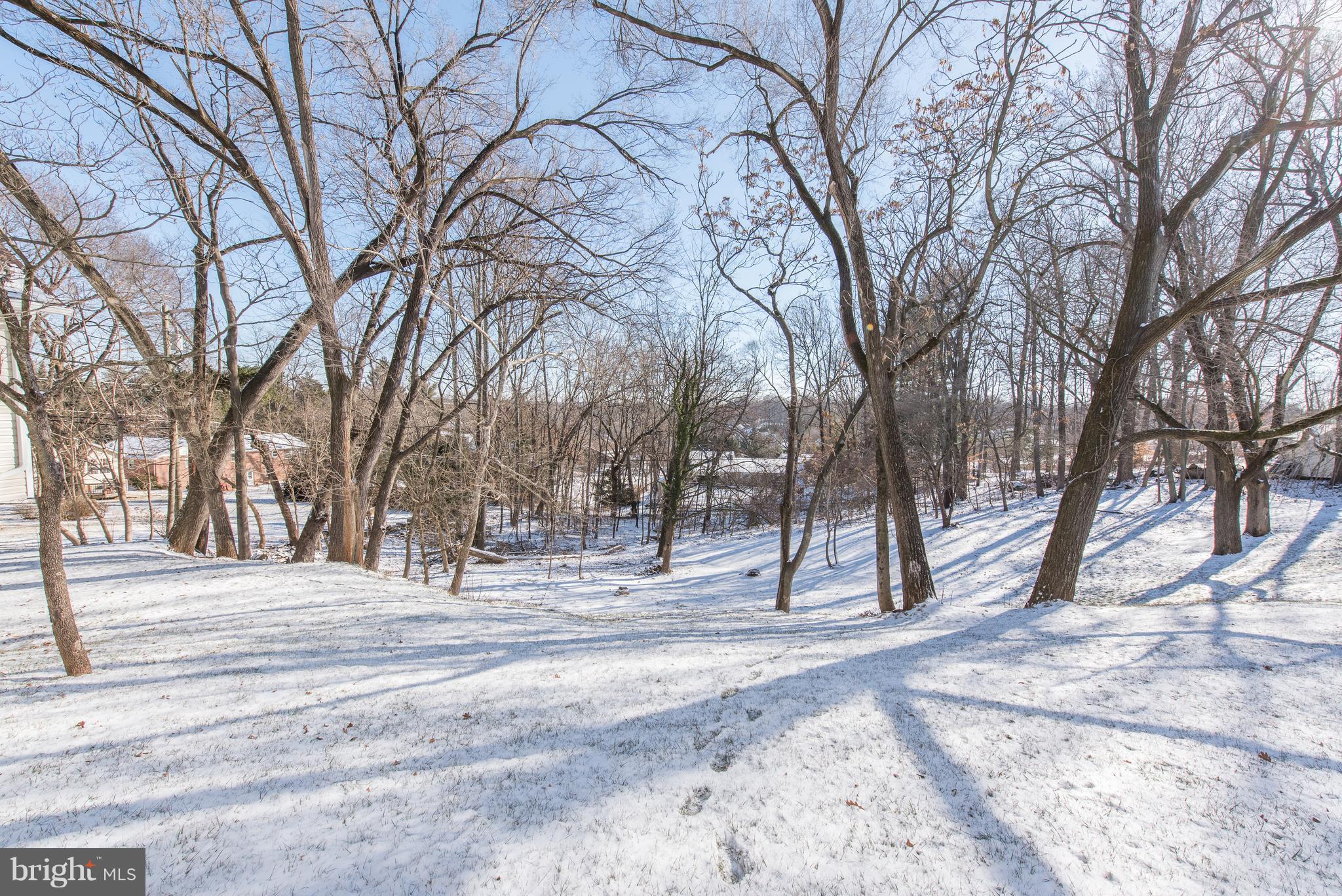 3605 Macalpine Road Ellicott City, MD 21042 - Photo 30 of 30 Yard