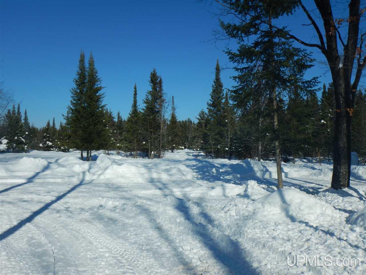 15490 County 426 M.5 Road Cornell, MI 49818 - Photo 23 of 34