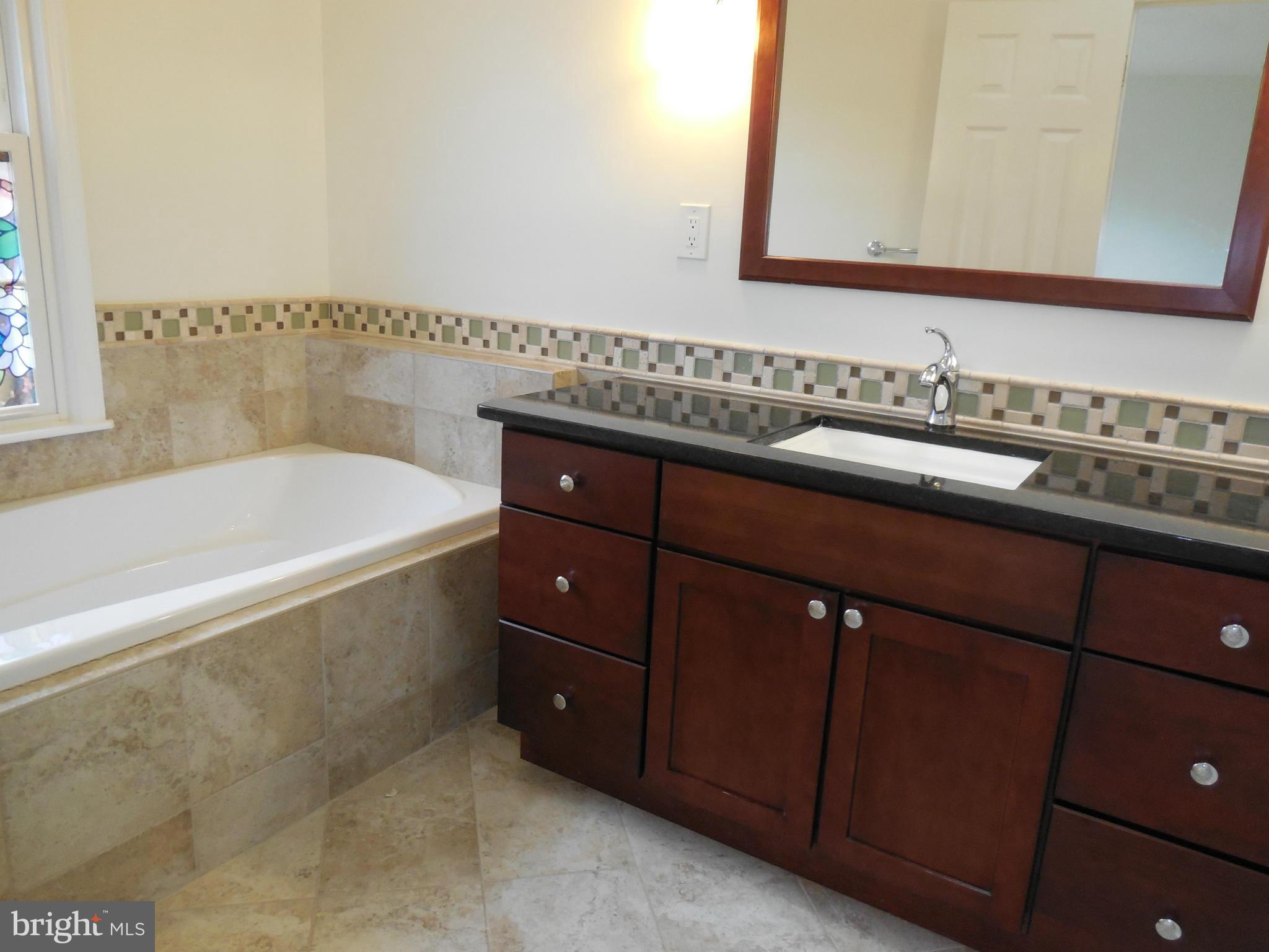 2304 Pondside Terrace Silver Spring, MD 20906 - Photo 12 of 20 Bath (Master)