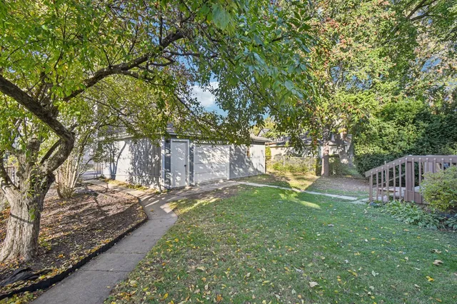 a view of a yard with plants and trees