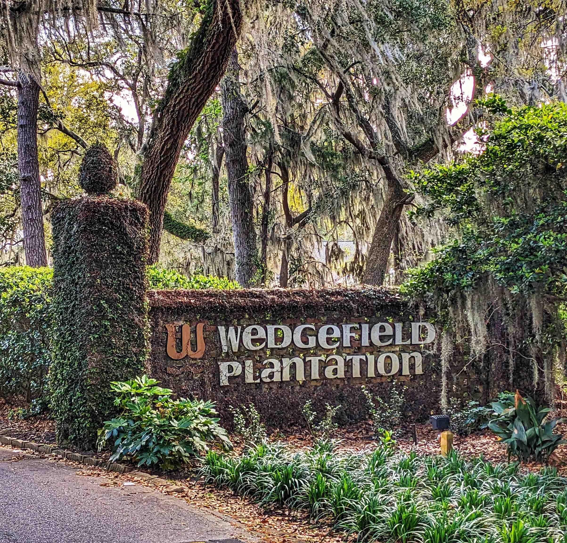 75 Haig Court Georgetown, SC 29440 - Photo 2 of 59