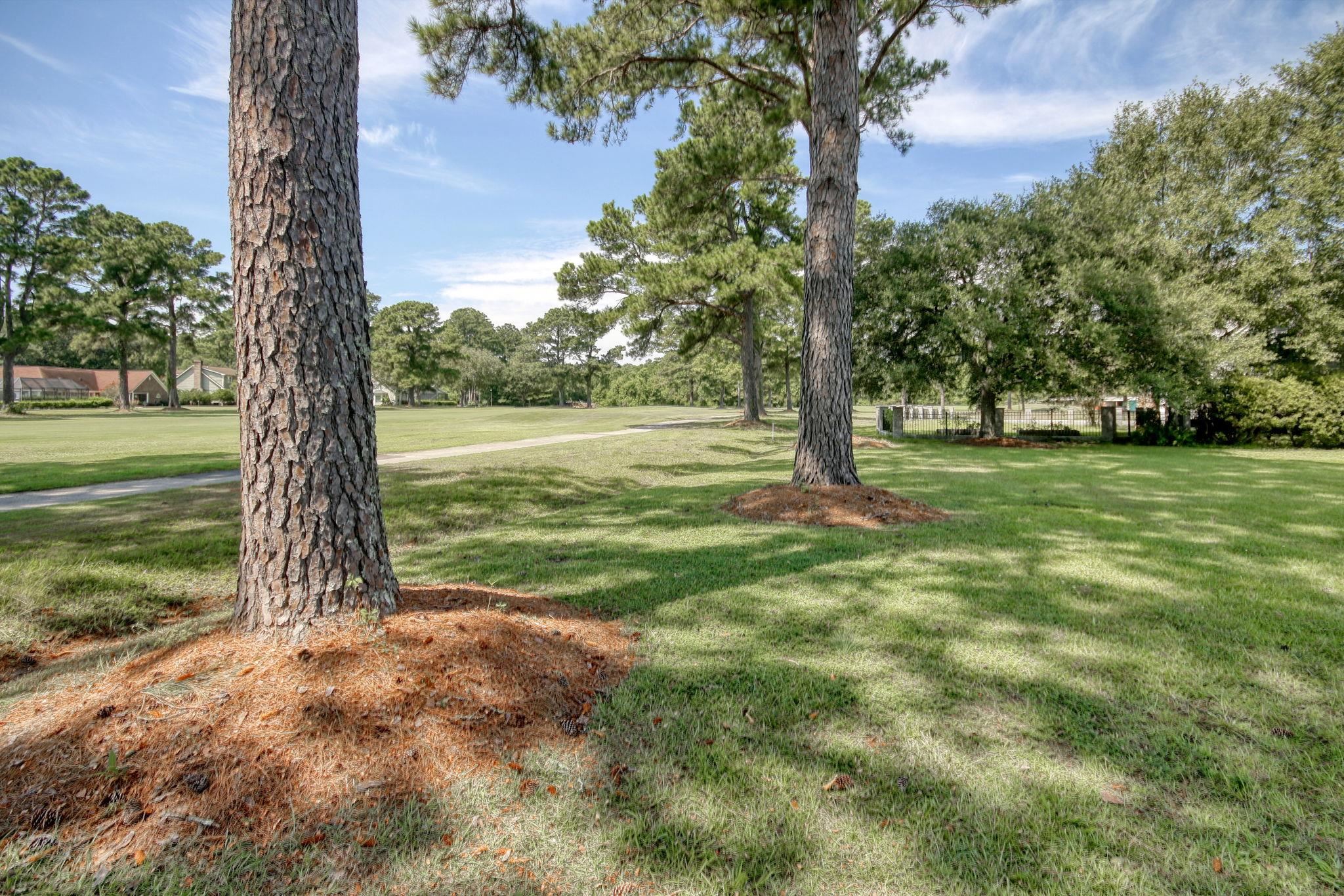 75 Haig Court Georgetown, SC 29440 - Photo 46 of 59