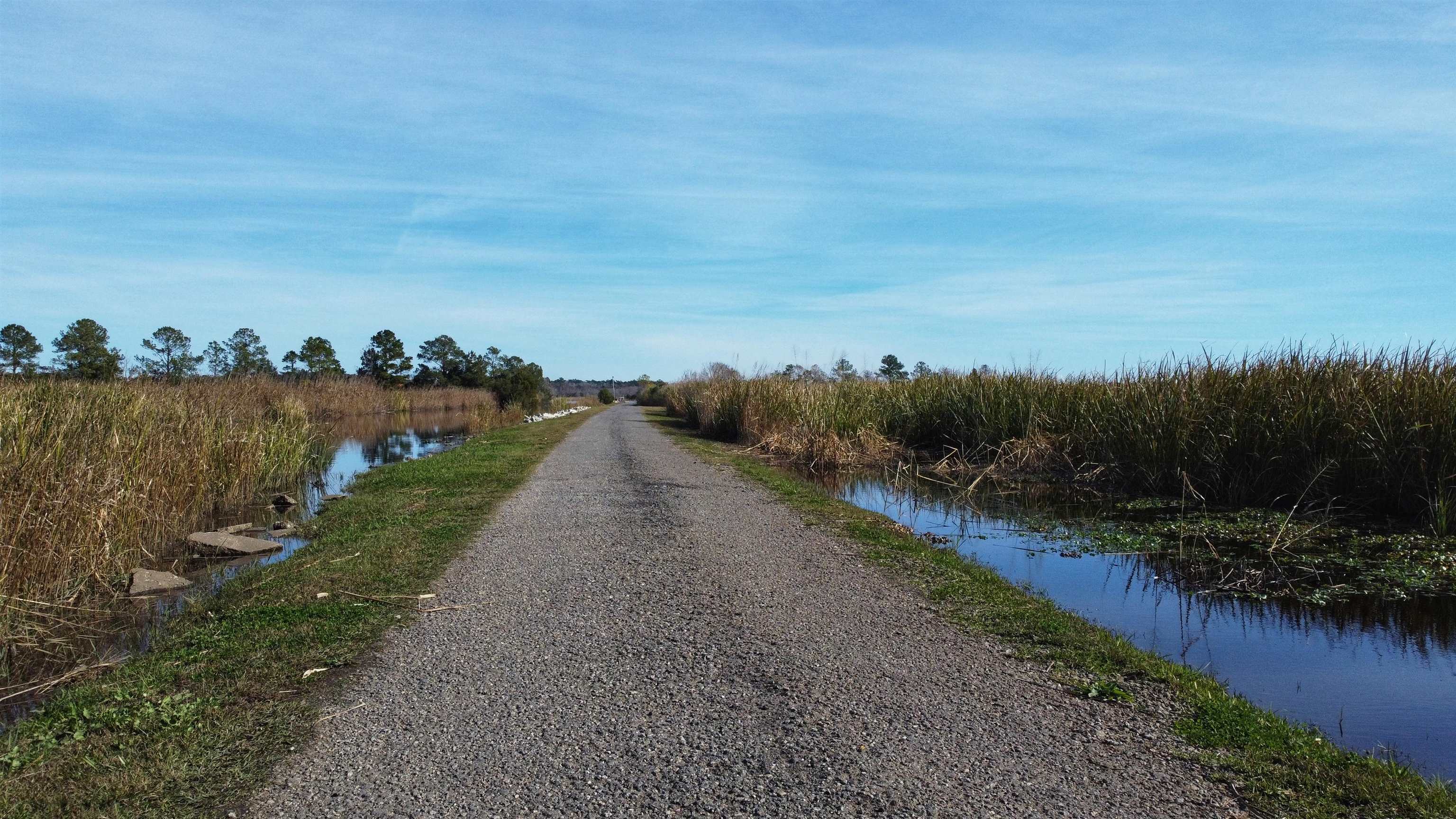 75 Haig Court Georgetown, SC 29440 - Photo 51 of 59
