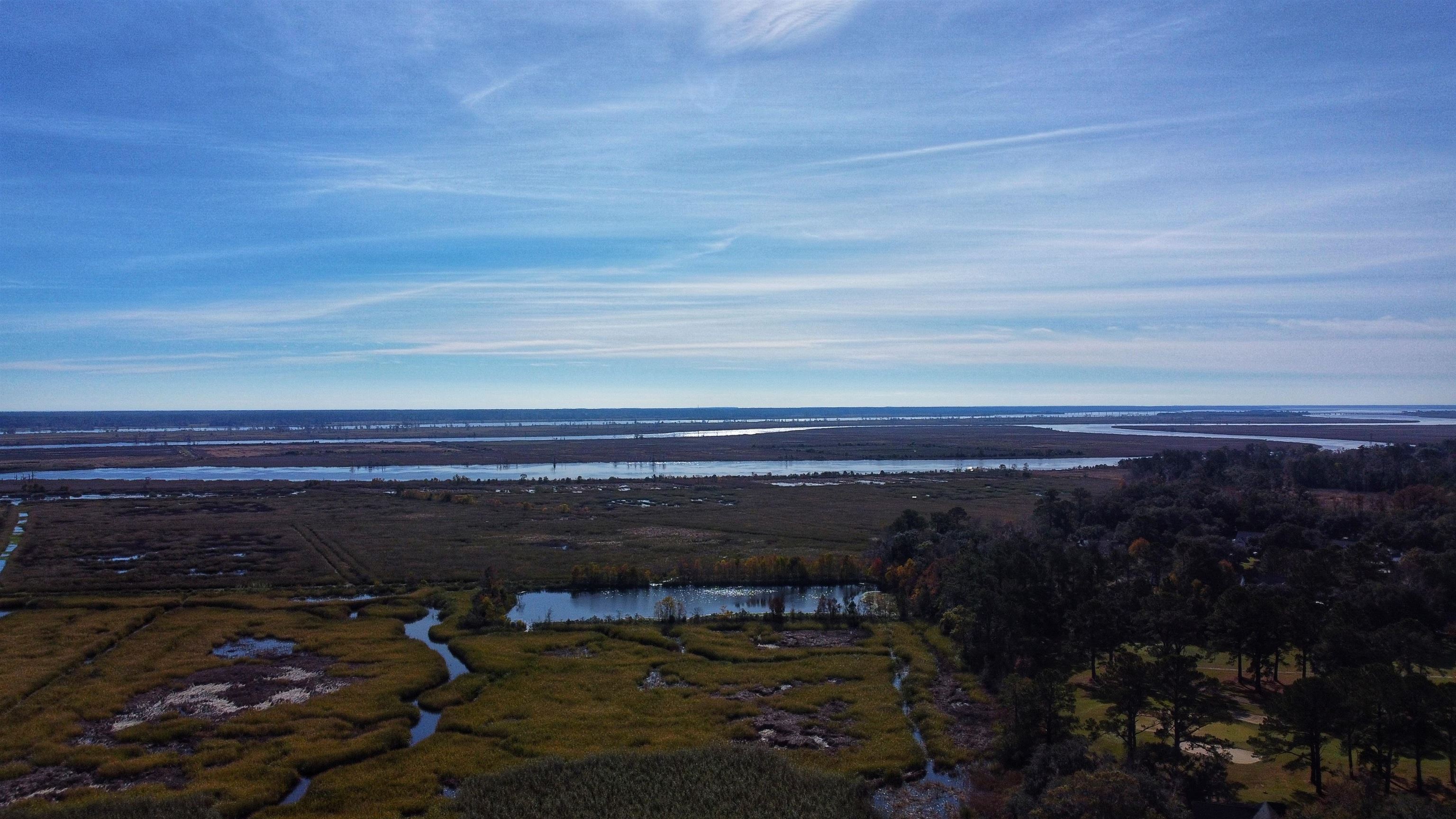 75 Haig Court Georgetown, SC 29440 - Photo 52 of 59