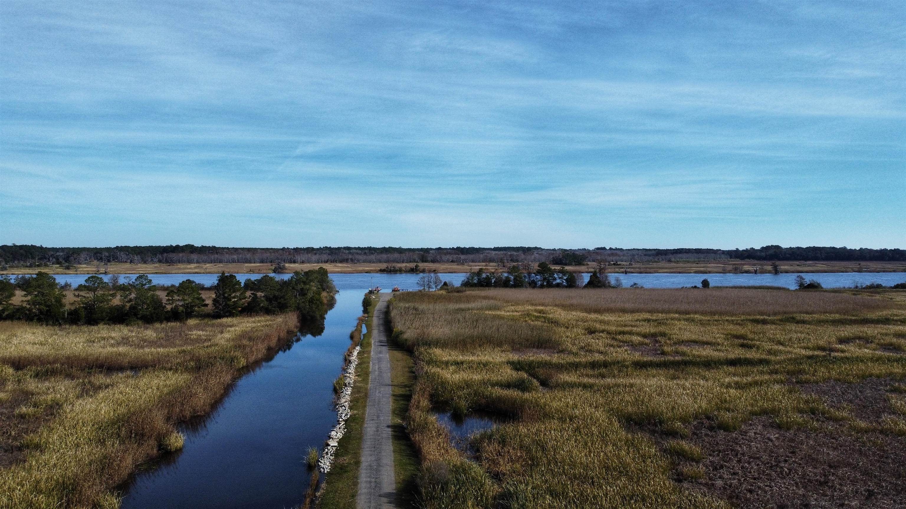 75 Haig Court Georgetown, SC 29440 - Photo 53 of 59