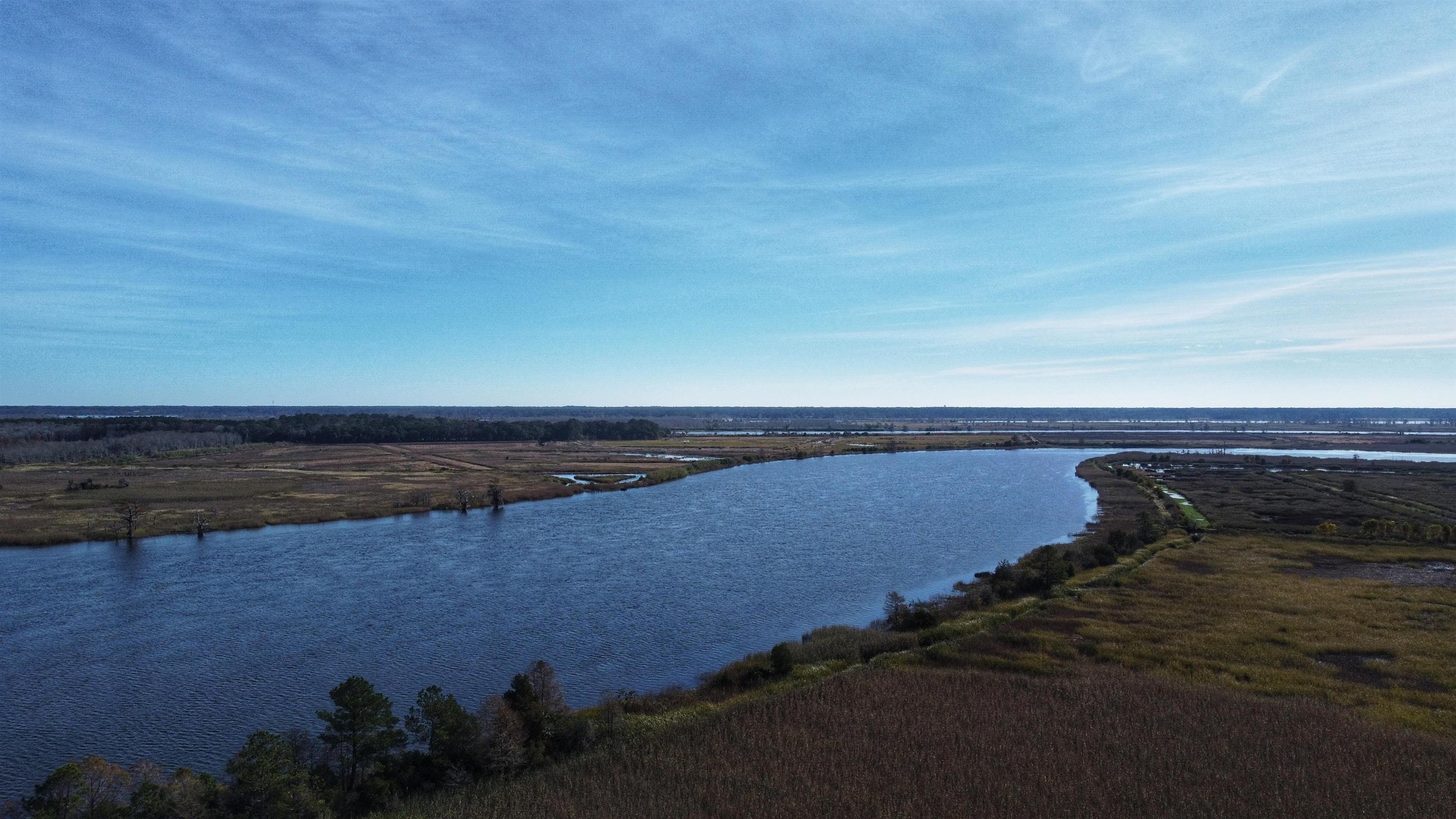 75 Haig Court Georgetown, SC 29440 - Photo 56 of 59