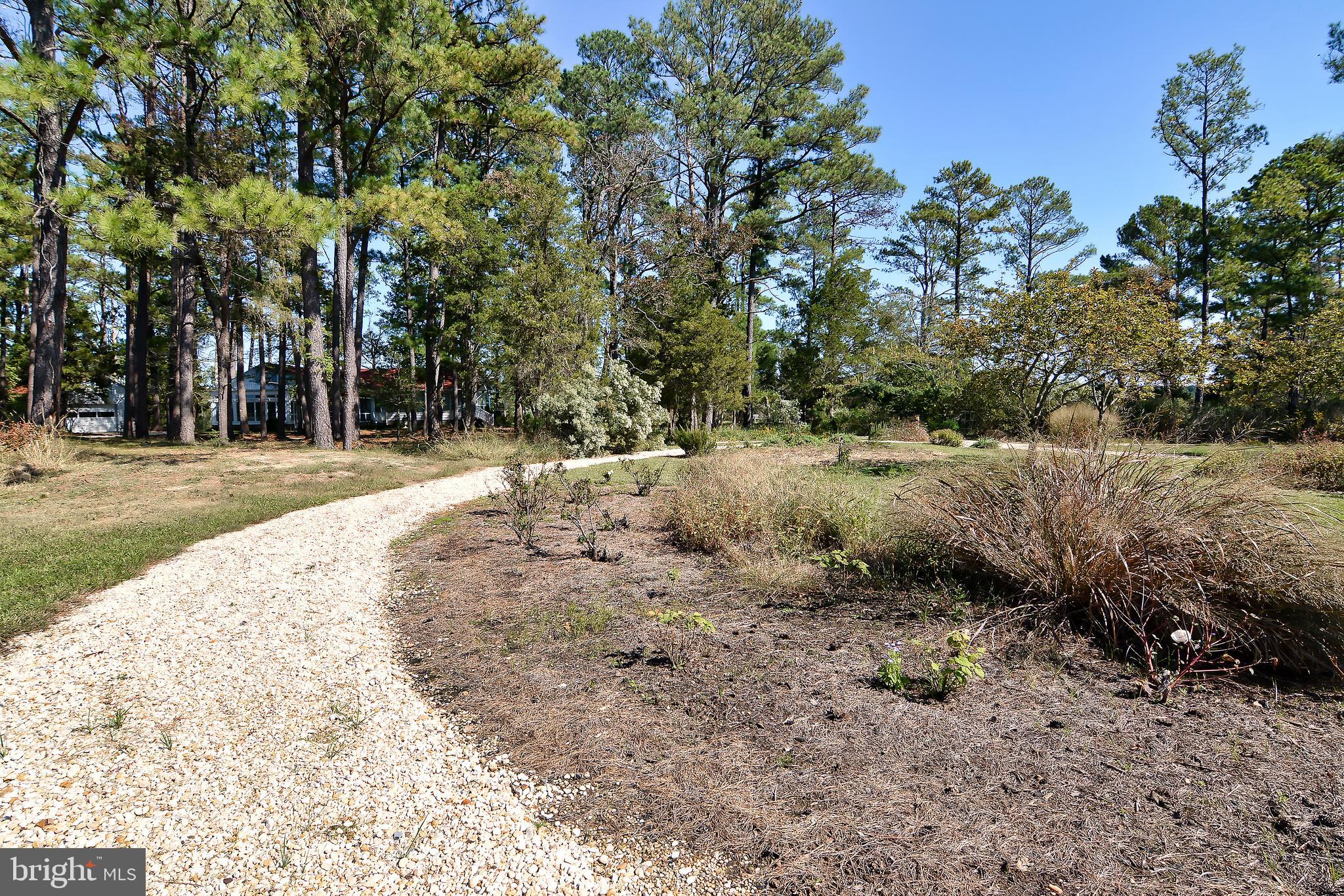 1015 Ross Thumb Road Cambridge, MD 21613 - Photo 49 of 64 Path Towards Tea House