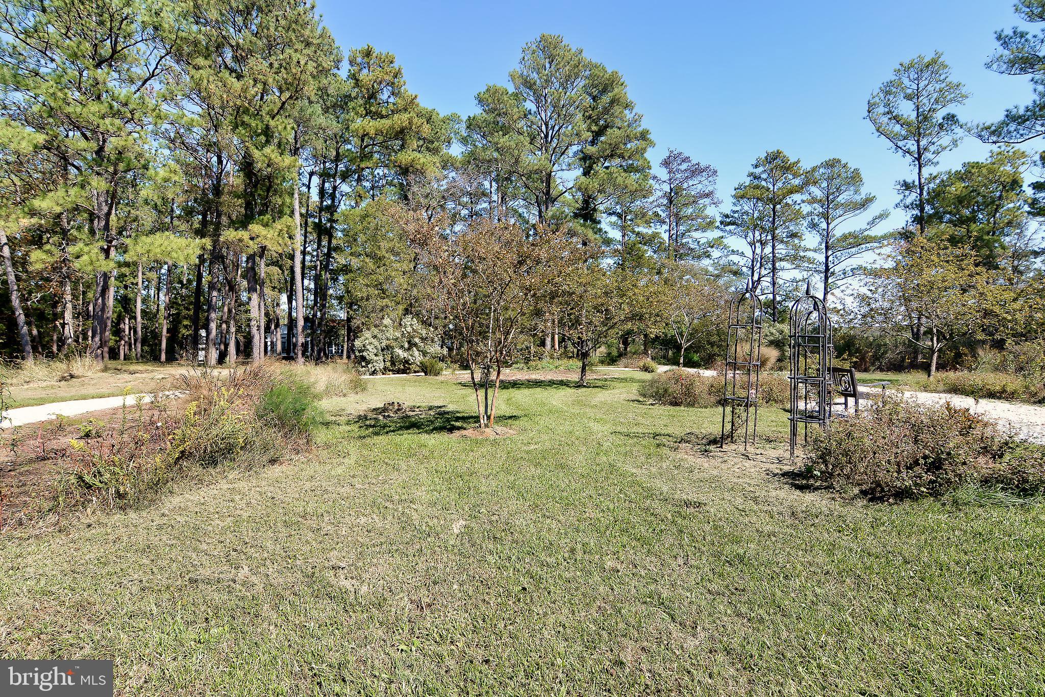 1015 Ross Thumb Road Cambridge, MD 21613 - Photo 50 of 64 Gardens