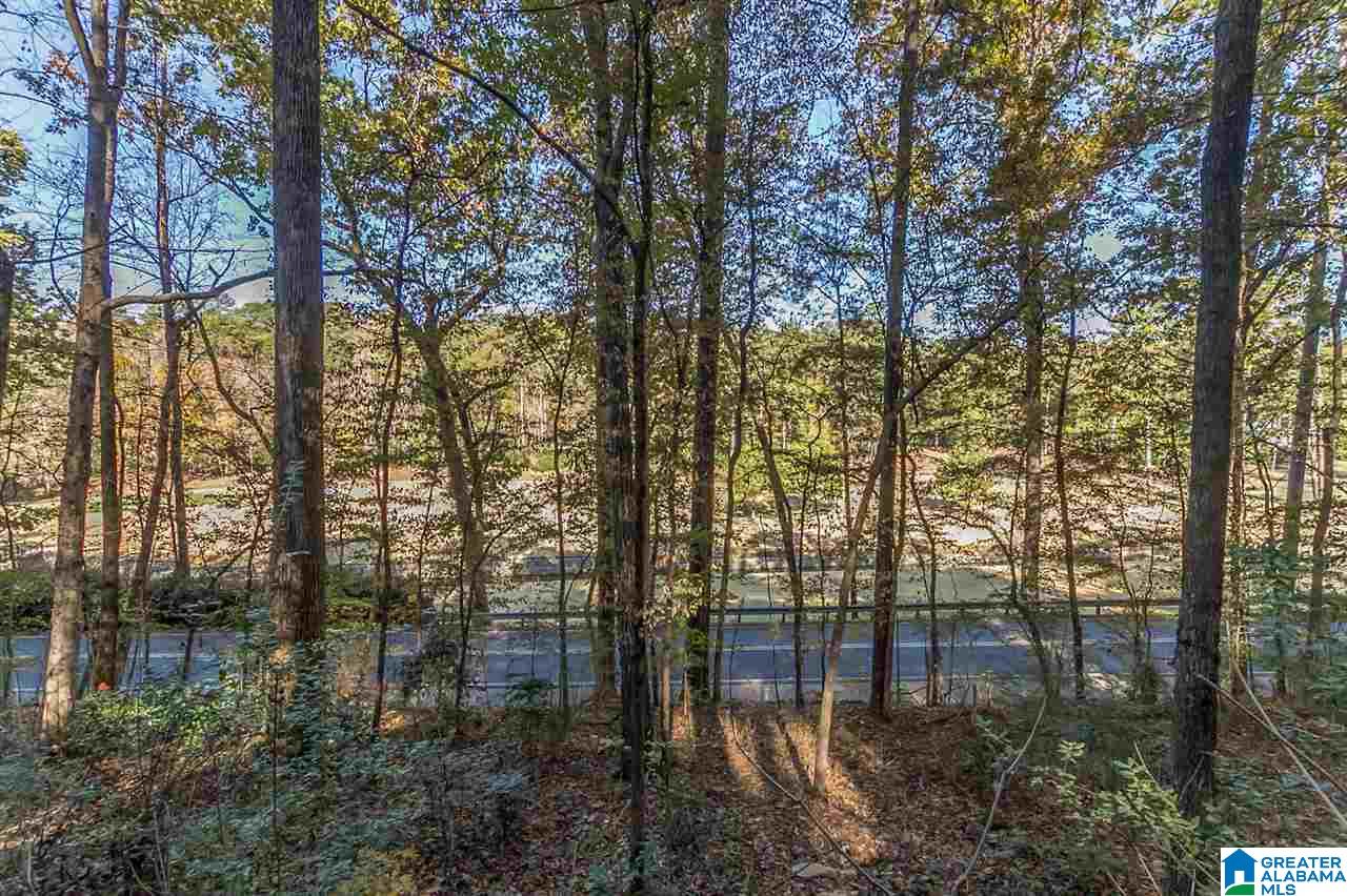 3385 Overbrook Road, Unit 109 Birmingham, AL 35213 - Photo 30 of 36