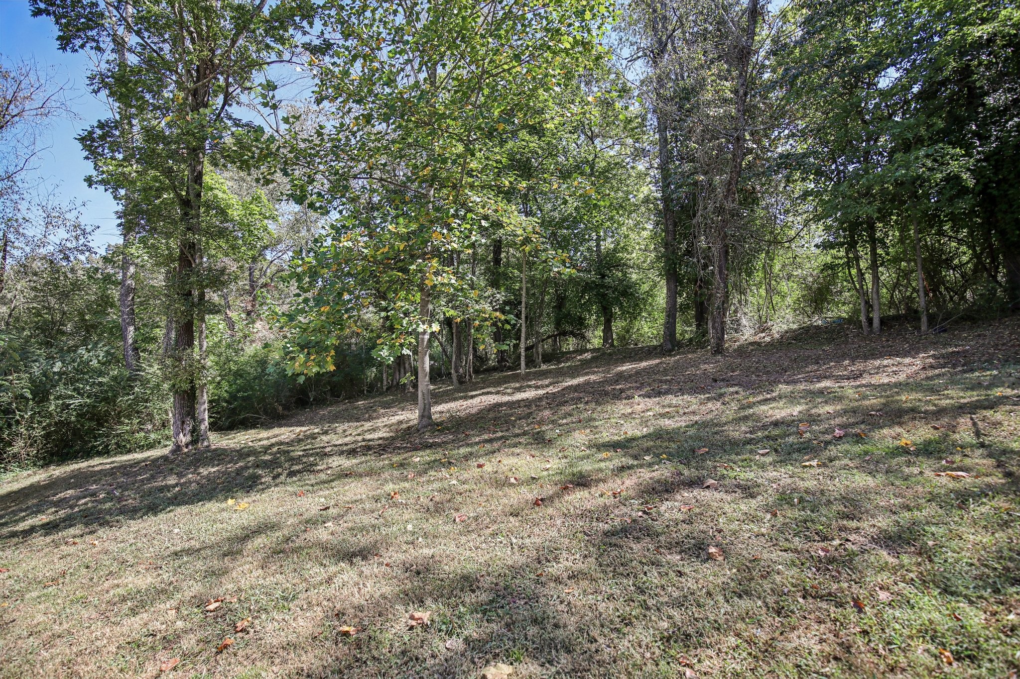 1122 Taylortown Road White Bluff, TN 37187 - Photo 52 of 56 a view of a yard with trees