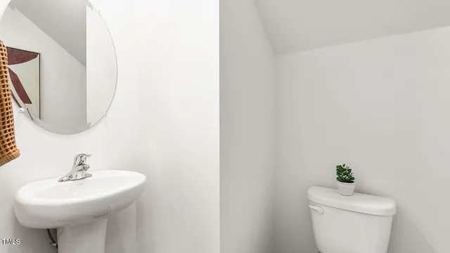 a bathroom with a sink a mirror and a toilet