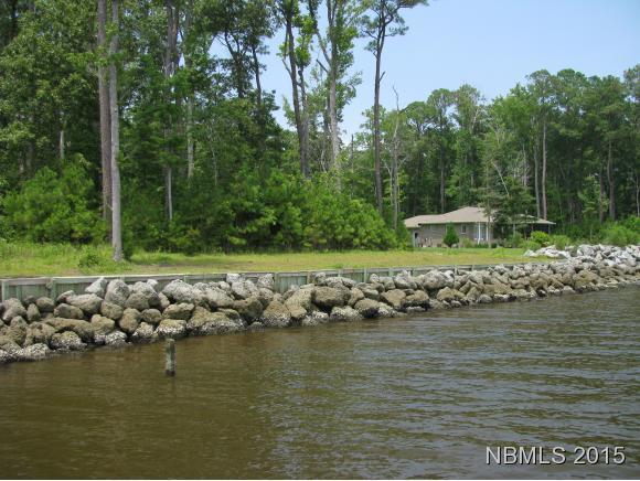 1069 Hardison Lee Farm Road Arapahoe, NC 28510 - Photo 1 of 18 Additional Photo