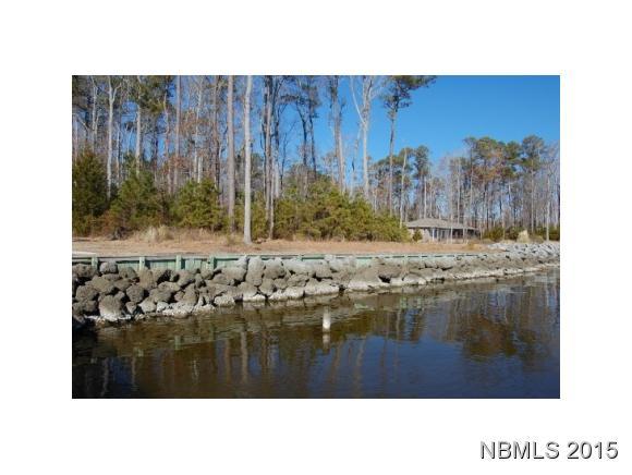 1069 Hardison Lee Farm Road Arapahoe, NC 28510 - Photo 6 of 18 Primary Photo
