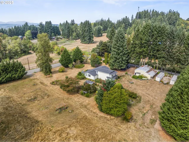 a view of a yard with trees