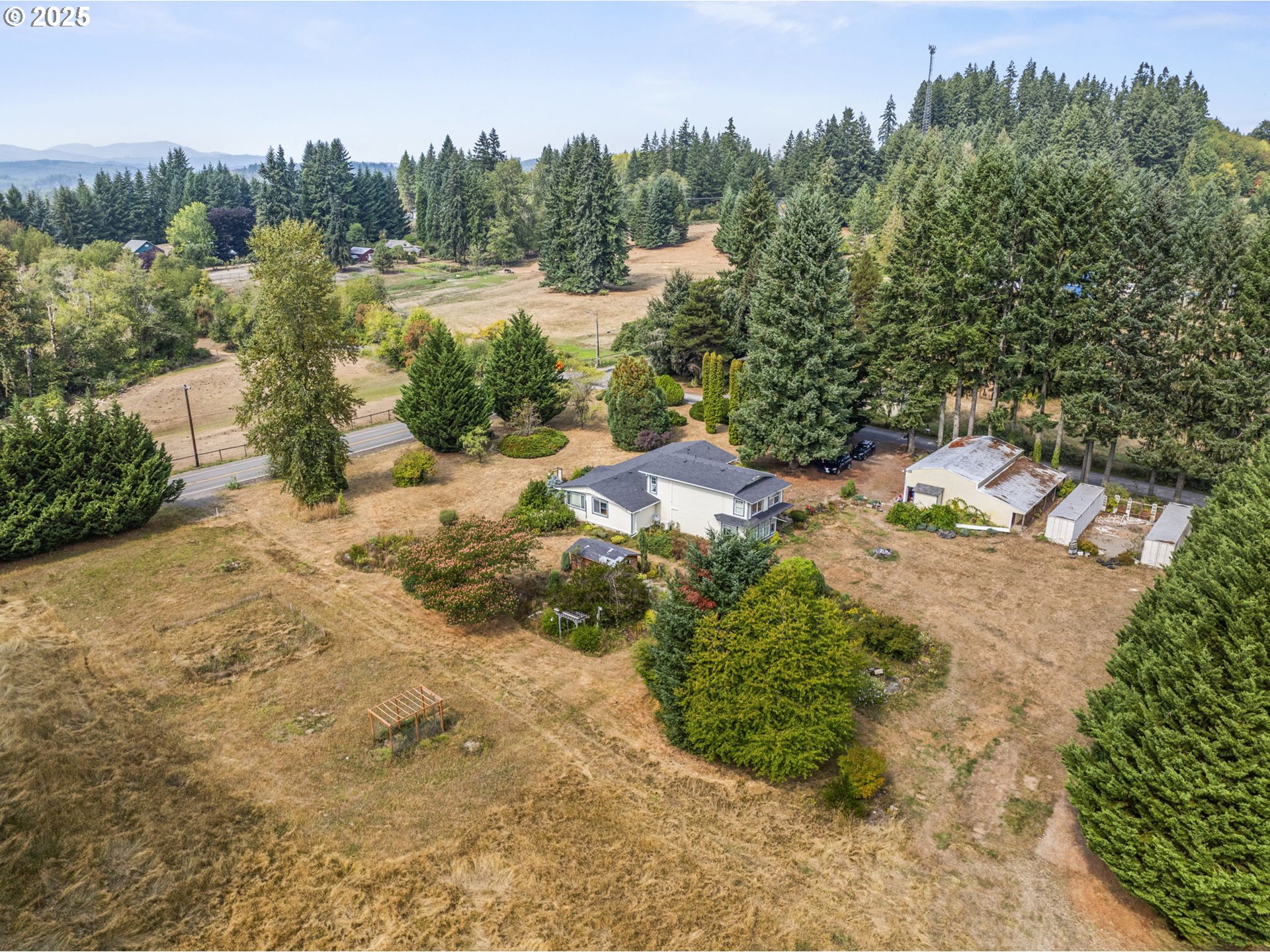 135 Westside Highway Vader, WA 98593 - Photo 7 of 31 a view of a yard with trees