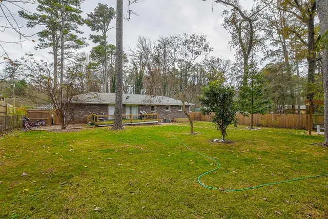 a view of a tree in a yard